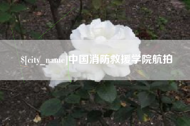 分宜中国消防救援学院航拍