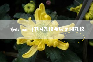 分宜中国九枚金牌是哪九枚