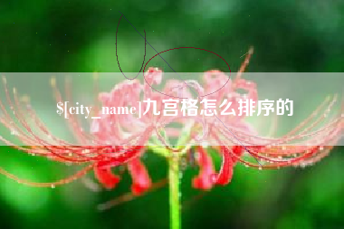 分宜九宫格怎么排序的