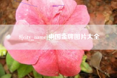 分宜中国金牌图片大全