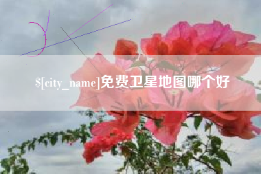 分宜免费卫星地图哪个好