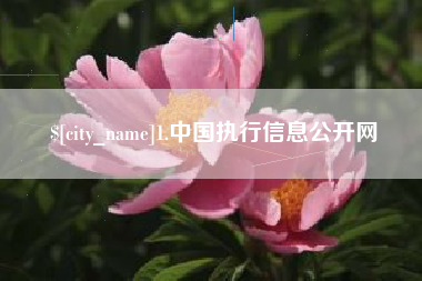 分宜1.中国执行信息公开网