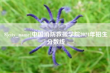 分宜中国消防救援学院2024年招生分数线