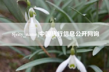 分宜中国执行信息公开网询
