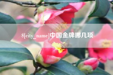 分宜中国金牌哪几项