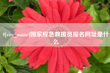 分宜国家应急救援员报名网址是什么
