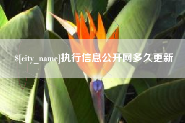 分宜执行信息公开网多久更新