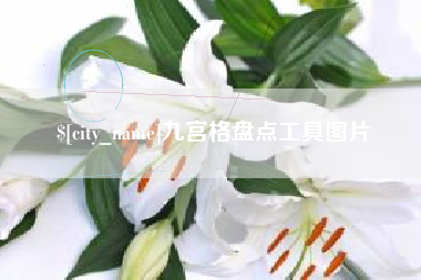 分宜九宫格盘点工具图片