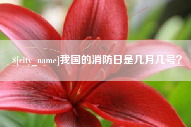 分宜我国的消防日是几月几号？