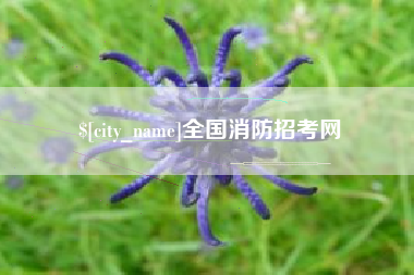 分宜全国消防招考网