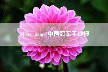 分宜中国冠军手抄报