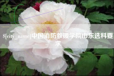 分宜中国消防救援学院山东选科要求