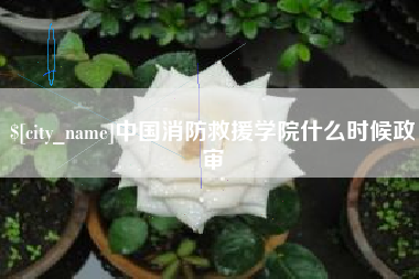分宜中国消防救援学院什么时候政审