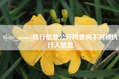 分宜执行信息公开网查询不到被执行人信息
