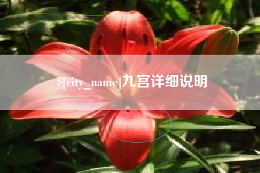 分宜九宫详细说明