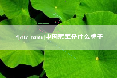 分宜中国冠军是什么牌子