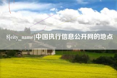分宜中国执行信息公开网的地点