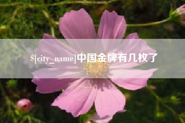 分宜中国金牌有几枚了