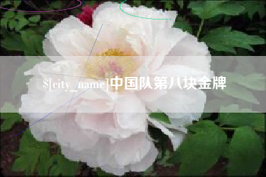 分宜中国队第八块金牌