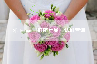 分宜消防产品ccc认证查询