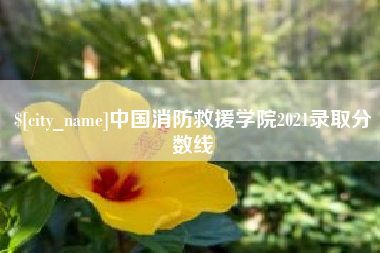 分宜中国消防救援学院2021录取分数线
