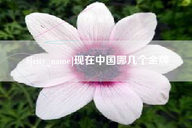 分宜现在中国哪几个金牌