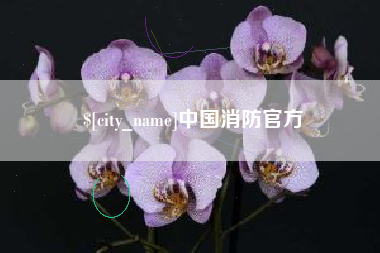 分宜中国消防官方