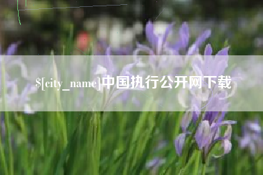 分宜中国执行公开网下载