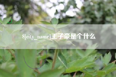 分宜王子豪是个什么