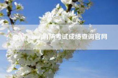分宜消防考试成绩查询官网