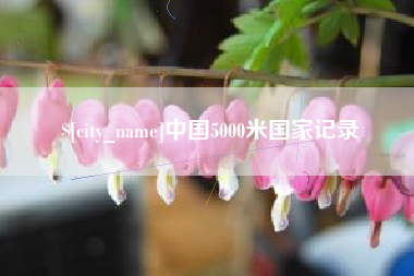 分宜中国5000米国家记录