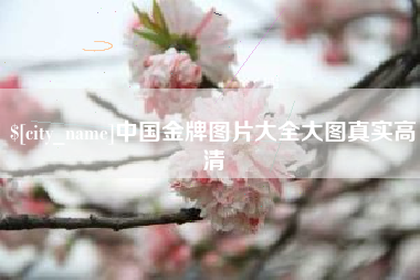 分宜中国金牌图片大全大图真实高清