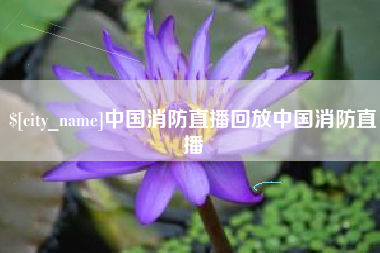 分宜中国消防直播回放中国消防直播