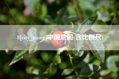 分宜中国地图(含比例尺)