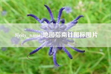 分宜地图指南针图标图片