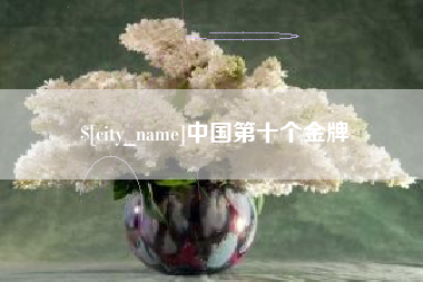 分宜中国第十个金牌