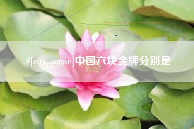 分宜中国六块金牌分别是