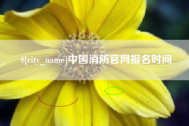 分宜中国消防官网报名时间