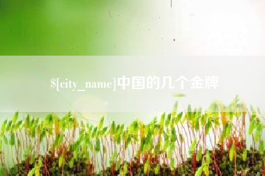 分宜中国的几个金牌