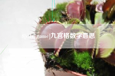 分宜九宫格数字意思