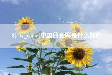 分宜中国的金牌是什么样的