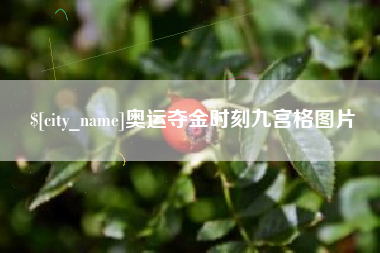 分宜奥运夺金时刻九宫格图片
