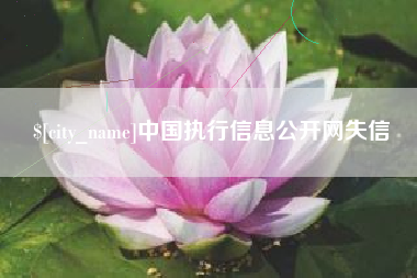 分宜中国执行信息公开网失信
