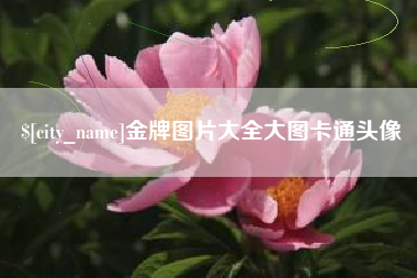 分宜金牌图片大全大图卡通头像