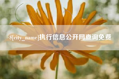 分宜执行信息公开网查询免费